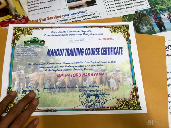 【SIMフリースマホと海外ぶらり旅】サトル、象使いになるの巻