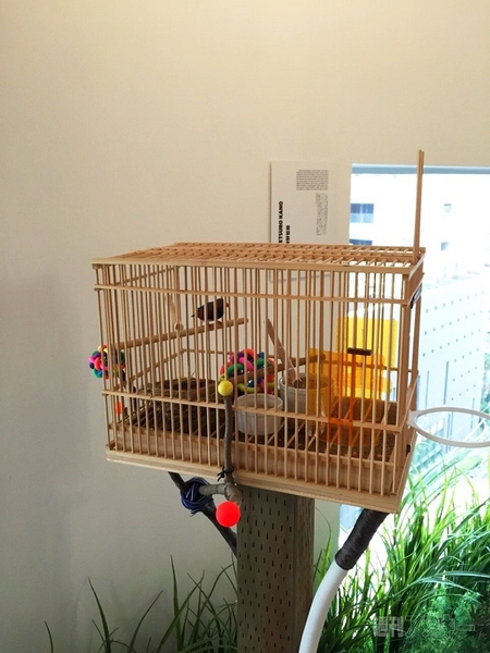 レッドブルオフィス