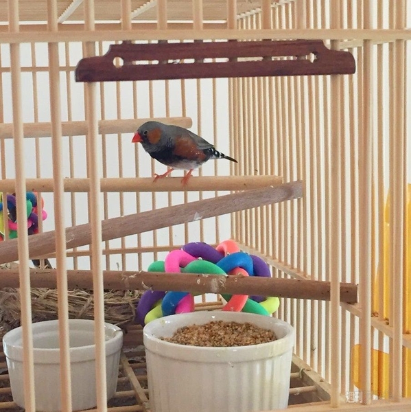 レッドブルオフィス