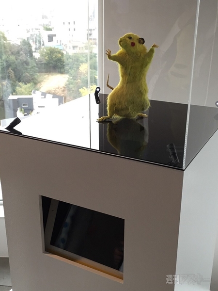 レッドブルオフィス