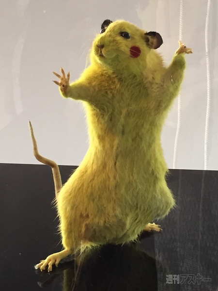 レッドブルオフィス