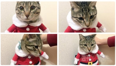 日本郵政が本気を出した公式年賀状テンプレートの羊娘がかわいい！見出しで楽しむネタ6本