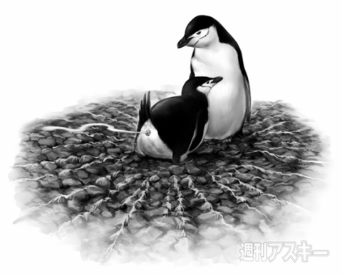 うんこがへんないきもの