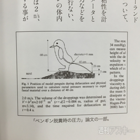 うんこがへんないきもの