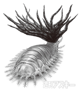 うんこがへんないきもの