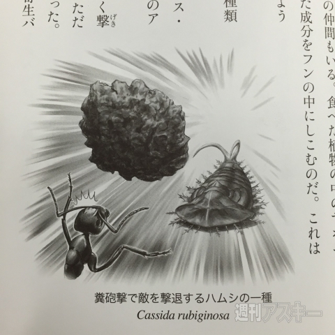 うんこがへんないきもの