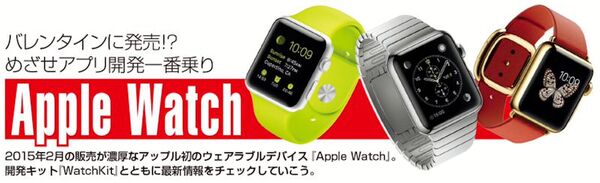 格安SIMとSIMフリー端末どちらをサンタに頼むかが問題