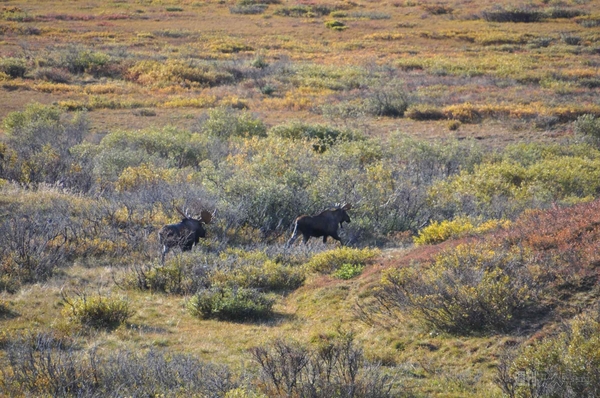 オーロラを撮りに行こう！