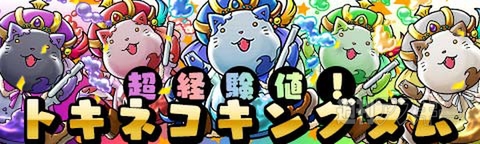 トキラビ開発部24回