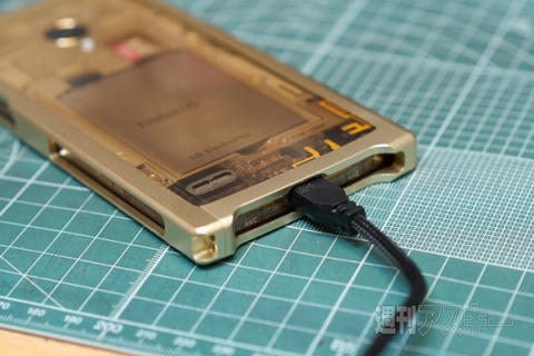 『Fx0』詳細レポート 