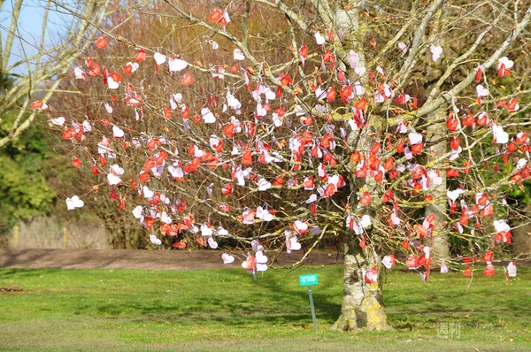 メリーチョコレート