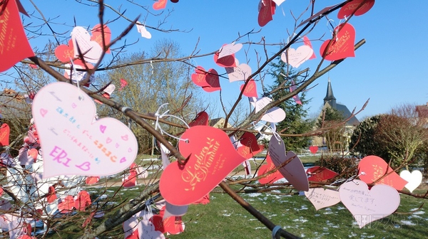 メリーチョコレート