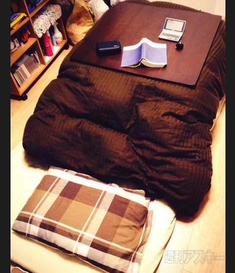 ねこも寒さ対策？“しっぽマフラー”がかわいいと話題に 見出しで楽しむネタ6本