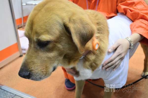 ウェアラブルEXPO