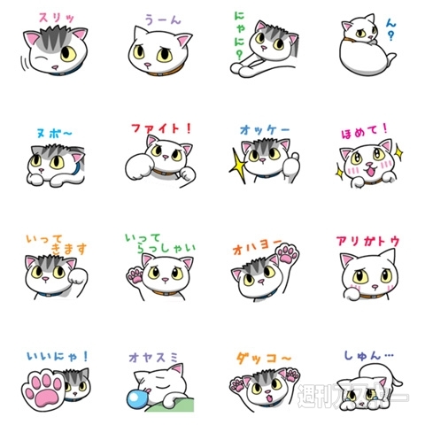 全国のハンターが集結！『CAPCOM：モンスターハンターフェスタ'15』東京大会開催：今日は何の日