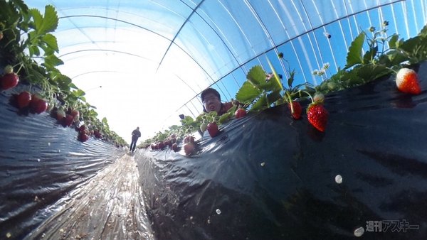 自撮り棒vs.ドローン！ セルフィーするならどっちがイイ？