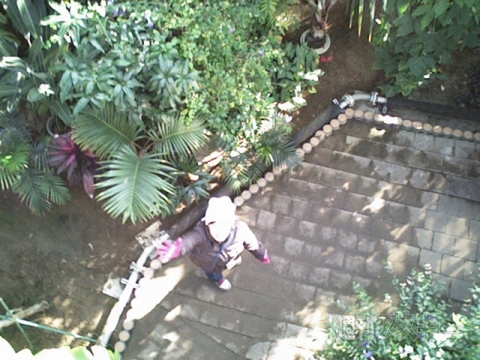 自撮り棒vs.ドローン！ セルフィーするならどっちがイイ？