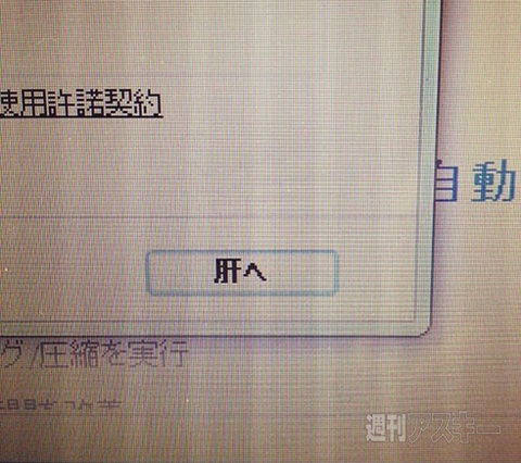 捨てようとした箱が実は宝箱!?70年前の宝塚歌劇団の写真が続々─見出しで楽しむネタ7本