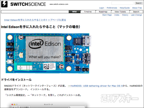 池澤あやかの自由研究