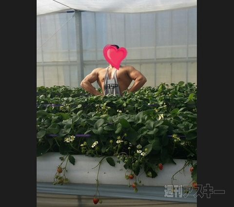 告白成功間違いなし!? バレンタインデー向け「ハート型ウニ」登場─見出しで楽しむネタ6本