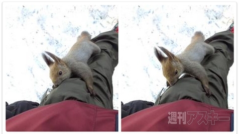 白米におかずをプロジェクションマッピングする機能とは？─見出しで楽しむネタ7本