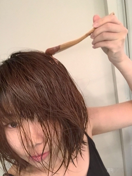 チョコレートトリートメント