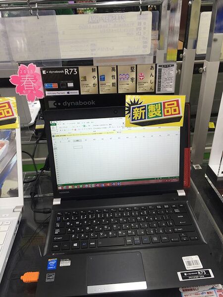 量販店で店員に勧められるがままにすると買うことになるPCは？：週間リスキー