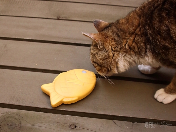 モバイルバッテリー