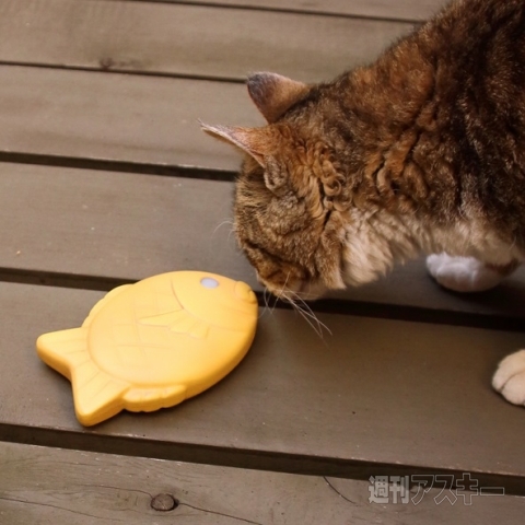 モバイルバッテリー