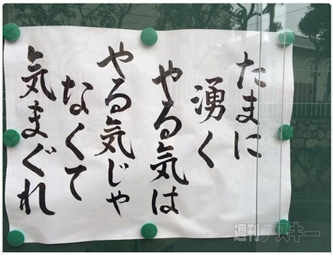 猫にとって最高に気持ちいい”ねこ缶型爪研ぎ”があるようです─見出しで楽しむネタ7本