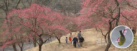 トークショーやステージライブが楽しめる『東京ゲーム音楽ショー 2015』開催：今日は何の日