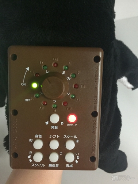 コケロミン・ネコ