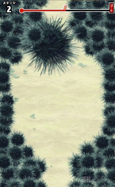 ウニからの脱出