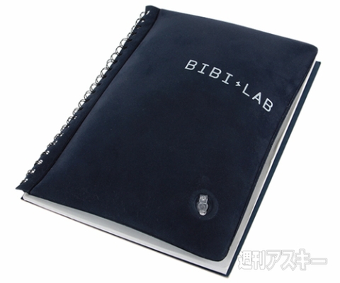 BIBI LAB まくらノート