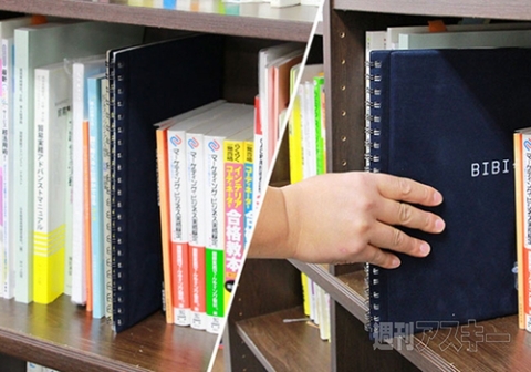 BIBI LAB まくらノート