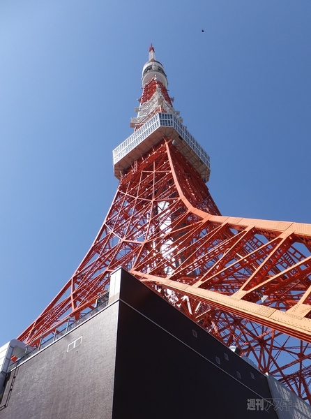 東京タワーバーガー