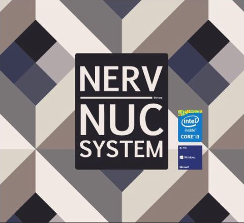 NERV NUC SYSTEM