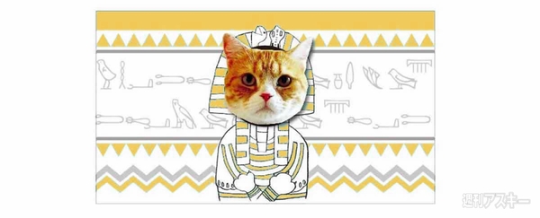 猫もぐらたたき