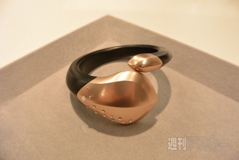 女子大生ウェアラブル