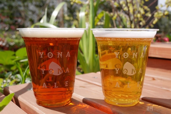 よなよな”ビアガーデン