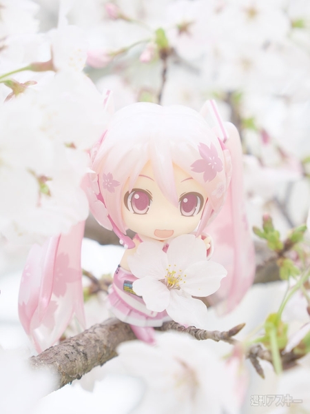 世界初！ 公認ねんどろいど 初音ミク写真集『3Q -miku- DX』が発売に