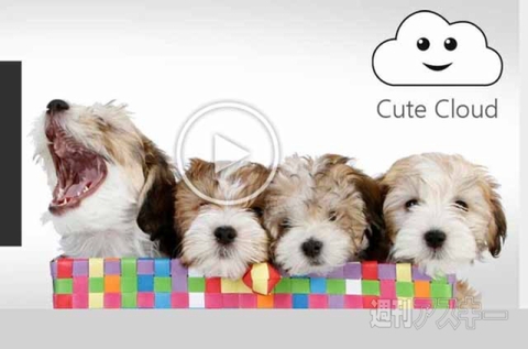 エイプリルフールbing