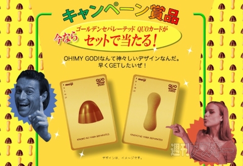 きのこの山 セパレーテッド