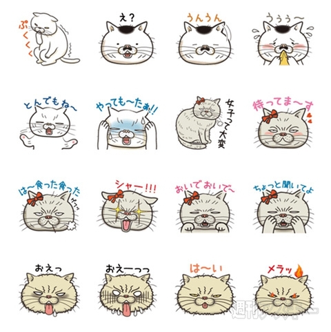 13日：今日は何の日