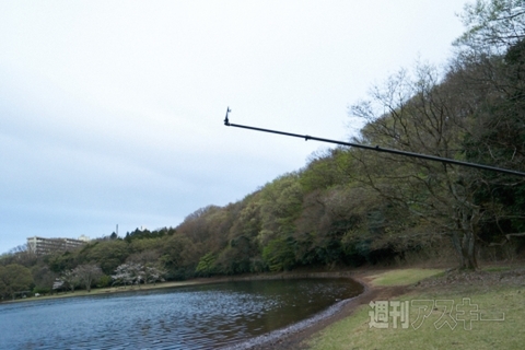 Plus20150411Gt_RISCII-BirdsiRod6G7500