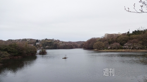 Plus20150411Gt_RISCII-BirdsiRod6G7500