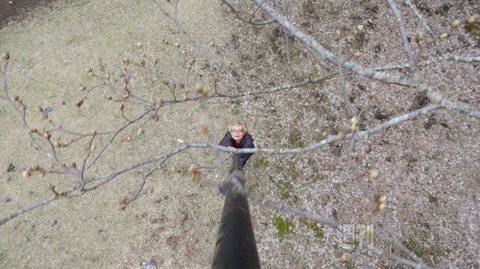 Plus20150411Gt_RISCII-BirdsiRod6G7500