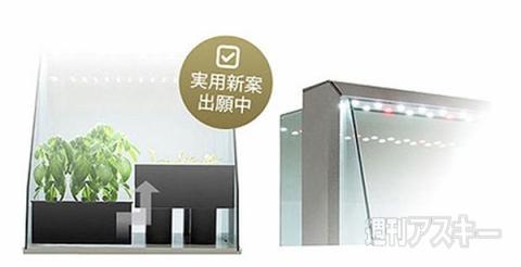 家庭用水耕栽培キット ピッコラ