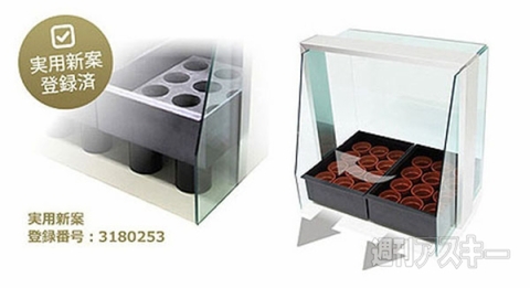 家庭用水耕栽培キット ピッコラ