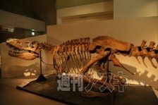 タルボサウルス